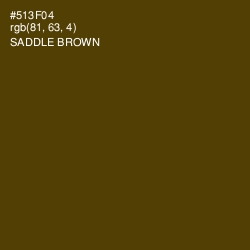 #513F04 - Saddle Brown Color Image